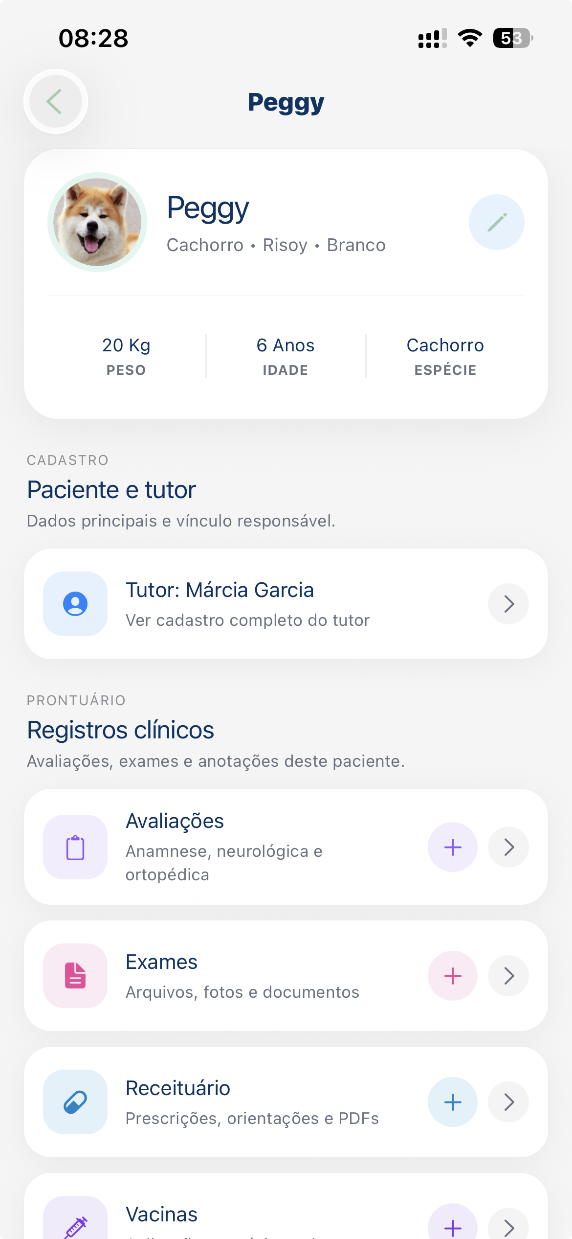 Histórico e prontuário veterinário digital no FisioVet